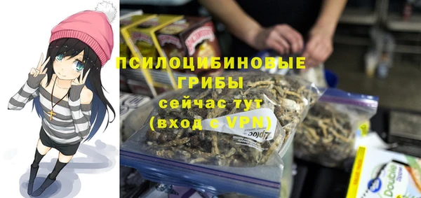 мескалин Пролетарск