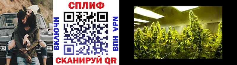 Марихуана THC 21%  Севск 
